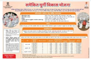 Bihar Poultry Farm Yojana 2024