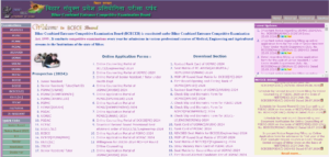 BCECEB Junior Resident Recruitment 2024