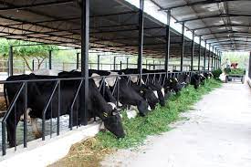 Bihar Pashu Shed Yojana 2025